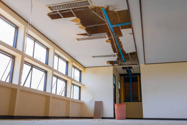 Best Water damage contractors near me  in Newnan, GA