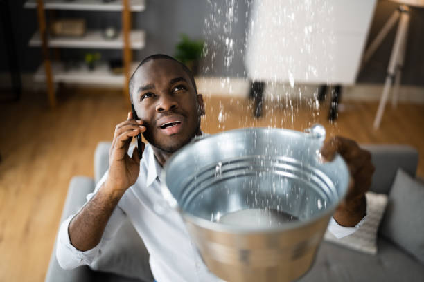 Best Flooded house restoration  in Newnan, GA