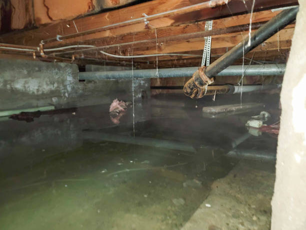 Best 24-hour water damage restoration  in Newnan, GA