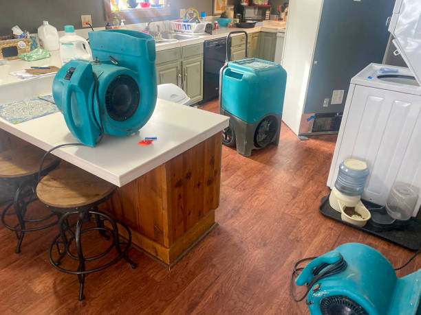 Best Carpet water damage restoration  in Newnan, GA