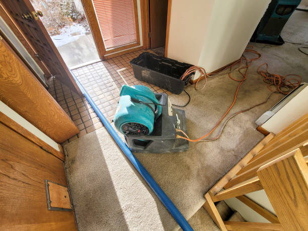 Best Flood damage cleanup  in Newnan, GA