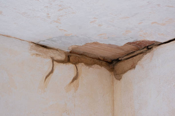 Newnan, GA Water damage restoration Company
