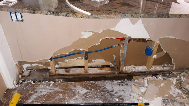 Best Flood restoration services  in Newnan, GA