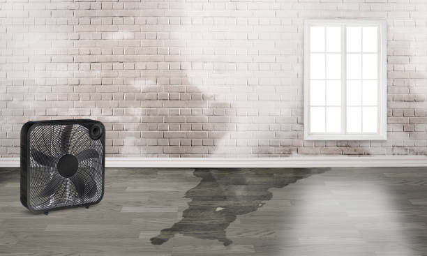 Best Emergency water damage restoration  in Newnan, GA
