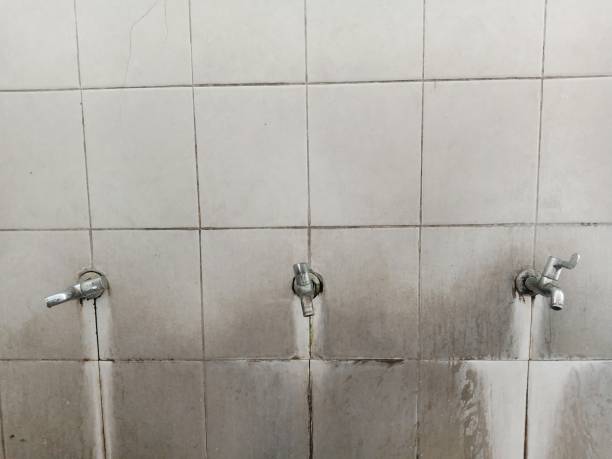 Best Water damage cleanup near me  in Newnan, GA