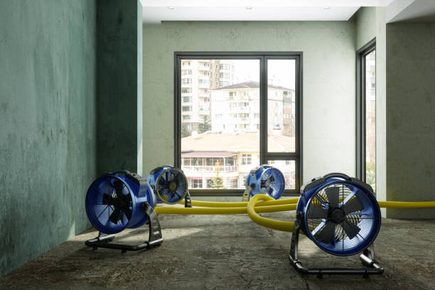 Reliable Newnan, GA Water damage restoration Solutions
